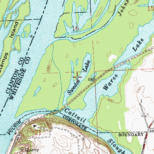Topographic Map of Swedes Lake, IL