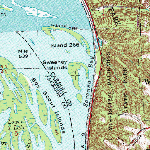 Topographic Map of Sweeney Islands, IL