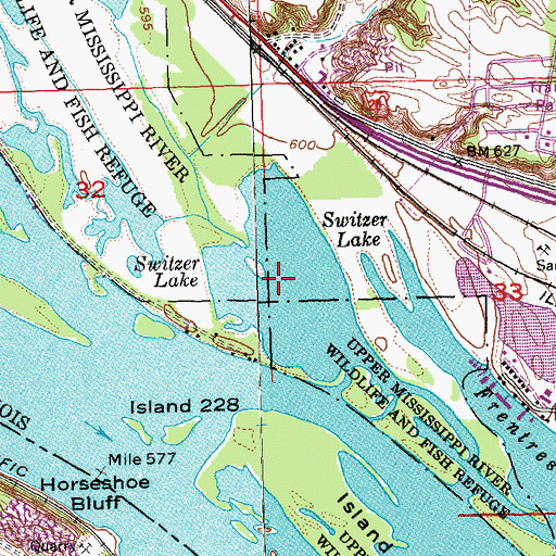 Topographic Map of Switzer Lake, IL