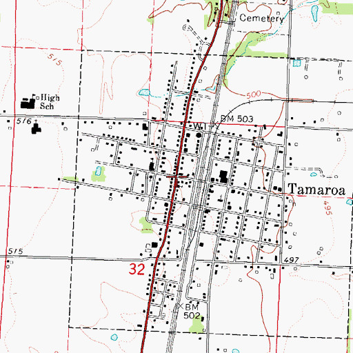 Topographic Map of Tamaroa, IL