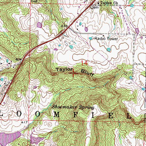 Topographic Map of Taylor Bluff, IL