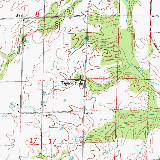 Topographic Map of Taylor Cemetery, IL
