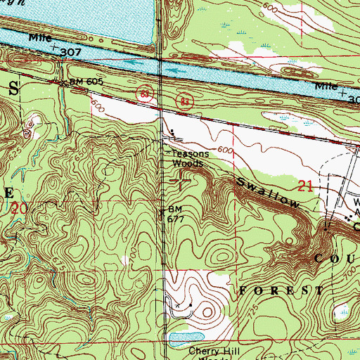 Topographic Map of Teasons Woods, IL
