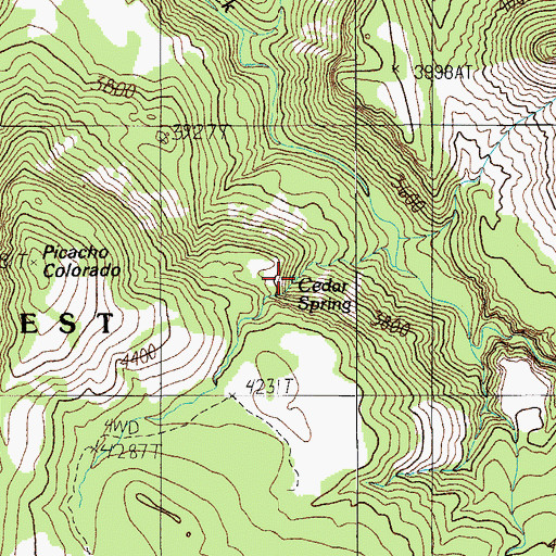 Topographic Map of Cedar Spring, AZ