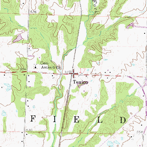 Topographic Map of Texico, IL