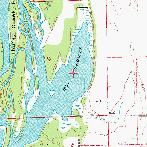 Topographic Map of The Swamps, IL
