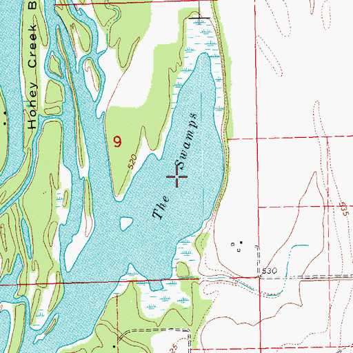 Topographic Map of The Swamps, IL