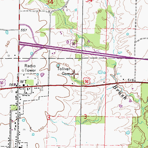 Topographic Map of Toliver Cemetery, IL