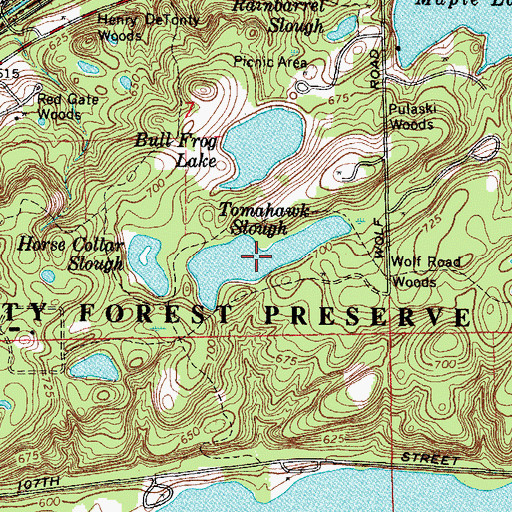 Topographic Map of Tomahawk Slough, IL