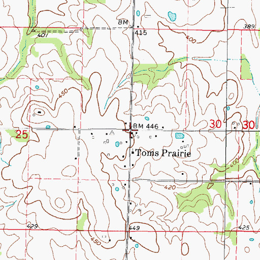 Topographic Map of Toms Prairie, IL