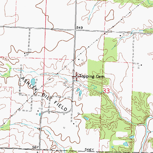 Topographic Map of Topping Cemetery, IL