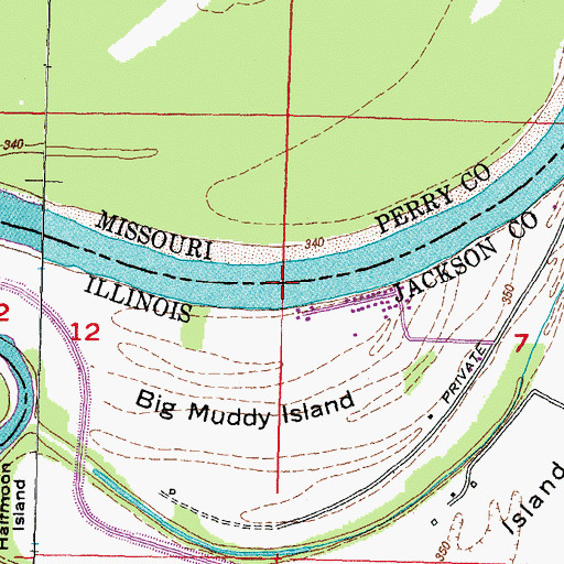 Topographic Map of Tower Island Chute, IL