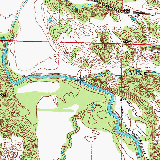 Topographic Map of Town Branch, IL