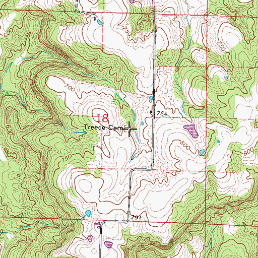 Topographic Map of Treece Cemetery, IL