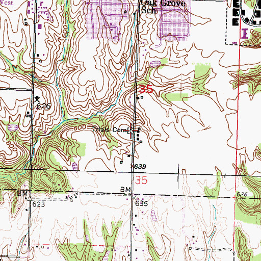 Topographic Map of Trial Cemetery, IL