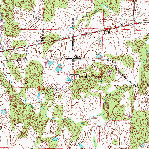 Topographic Map of Trinity Cemetery, IL