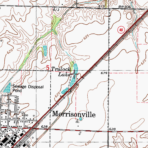 Topographic Map of Trulock Lake, IL