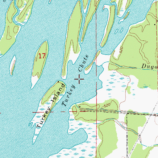 Topographic Map of Turkey Chute, IL
