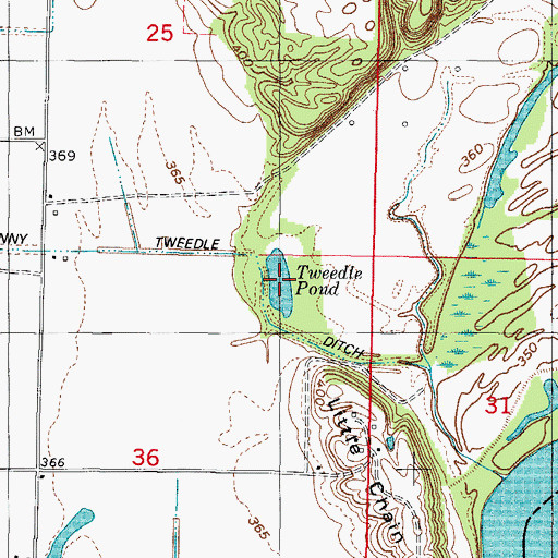 Topographic Map of Tweedle Pond, IL