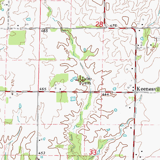 Topographic Map of Tyler Cemetery, IL
