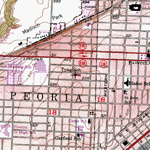 Topographic Map of Tyng Primary School, IL