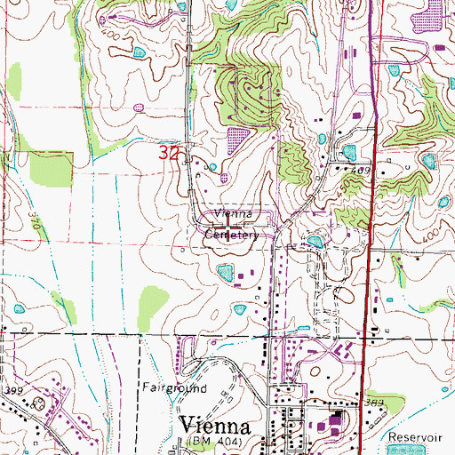 Topographic Map of Vienna Cemetery, IL
