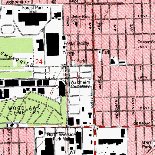 Topographic Map of Waldheim Cemetery, IL