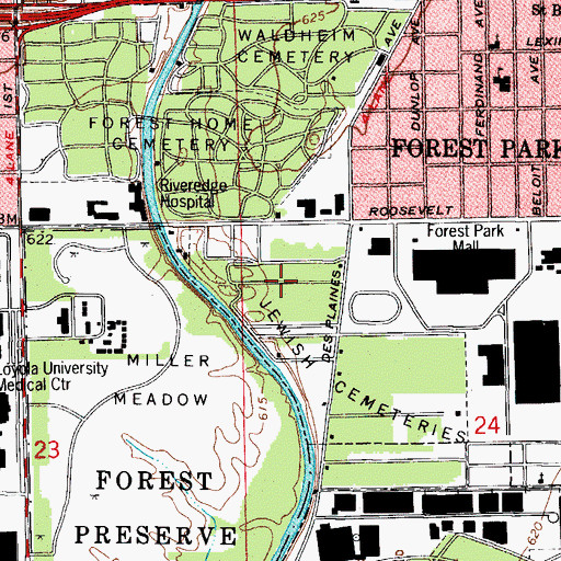 Topographic Map of Waldheim Cemetery, IL