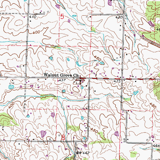 Topographic Map of Walnut Grove Church, IL