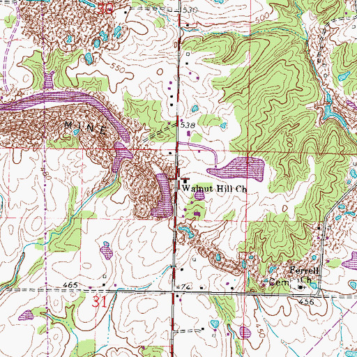 Topographic Map of Walnut Hill Church, IL