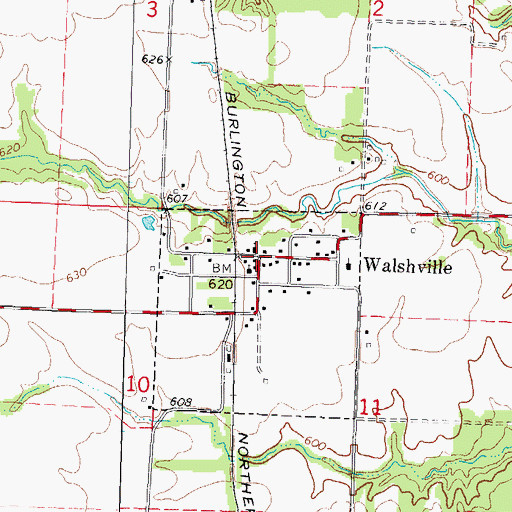 Topographic Map of Walshville, IL