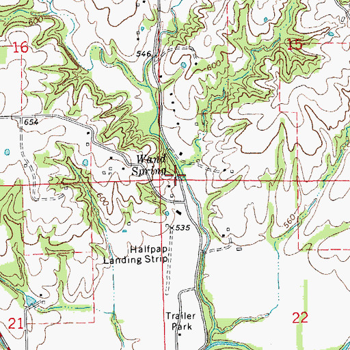 Topographic Map of Wand Spring, IL