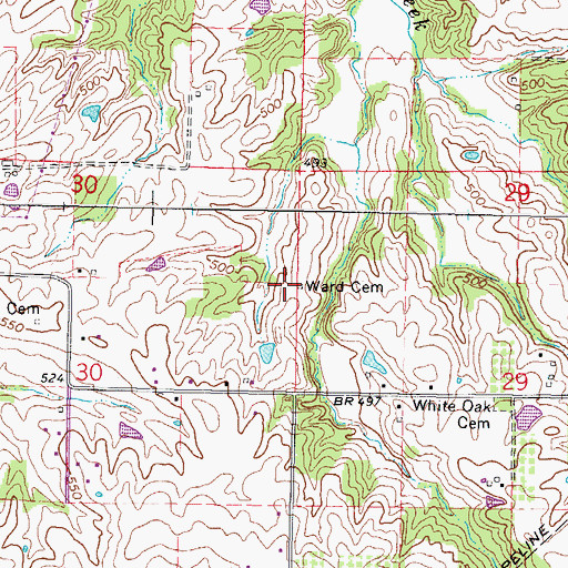 Topographic Map of Ward Cemetery, IL