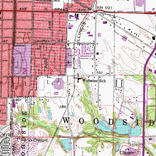 Topographic Map of Webster Elementary School, IL