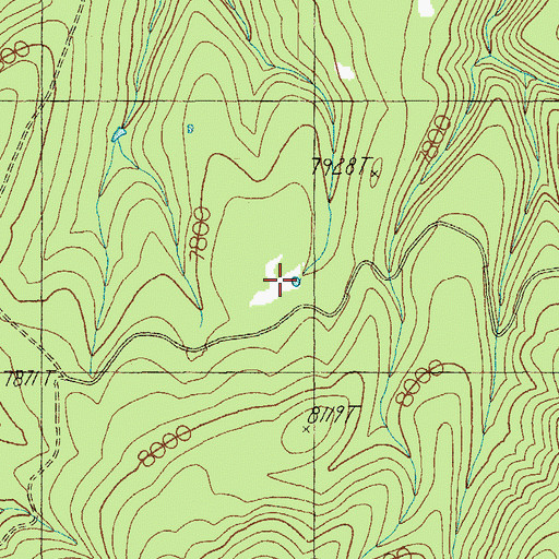 Topographic Map of Elk Tank, AZ