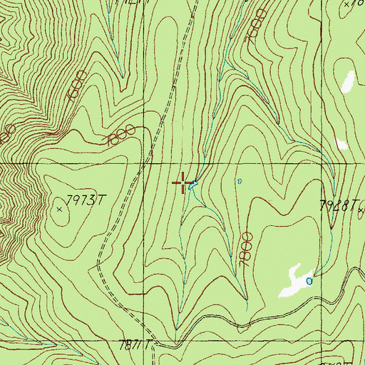 Topographic Map of Salt Lick Tank, AZ