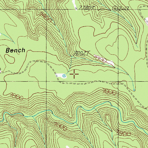 Topographic Map of Fish Sink, AZ