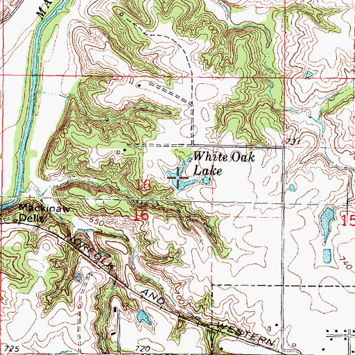 Topographic Map of White Oak Lake, IL