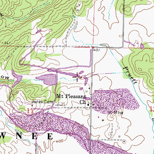 Topographic Map of Wiedeman Hollow, IL