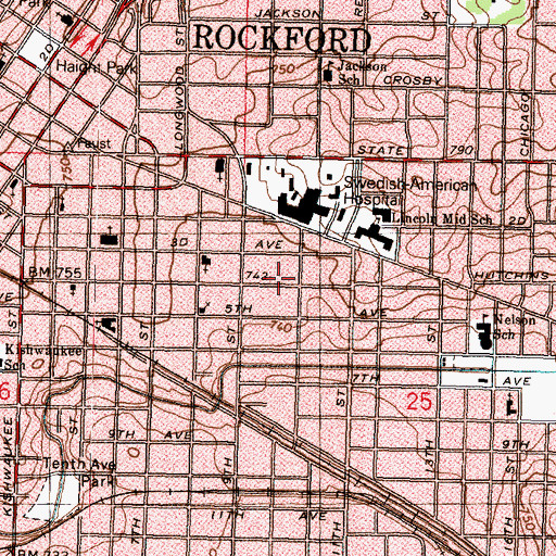 Topographic Map of Wight School, IL