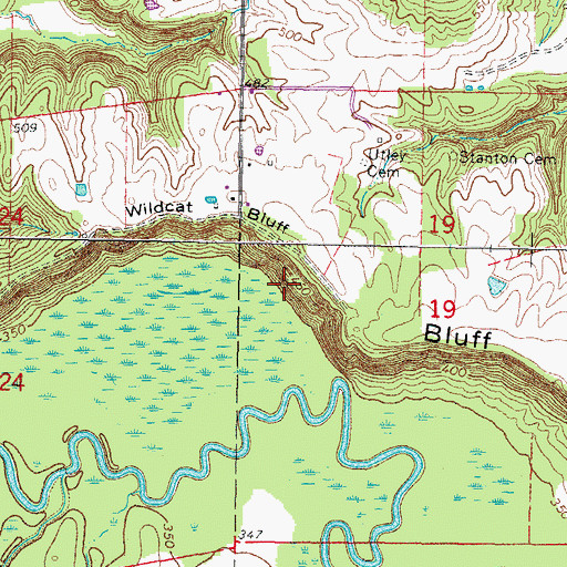 Topographic Map of Wildcat Bluff, IL