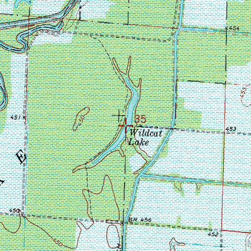 Topographic Map of Wildcat Lake, IL