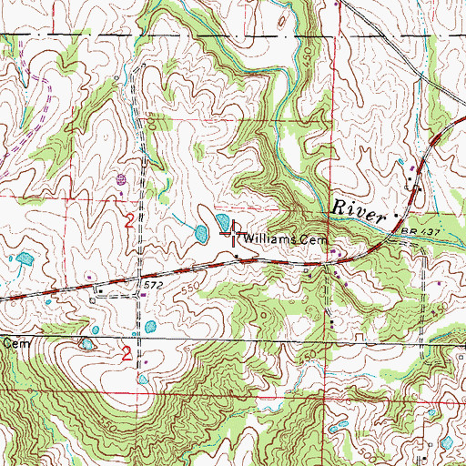Topographic Map of Williams Cemetery, IL