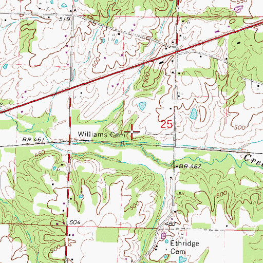Topographic Map of Williams Cemetery, IL