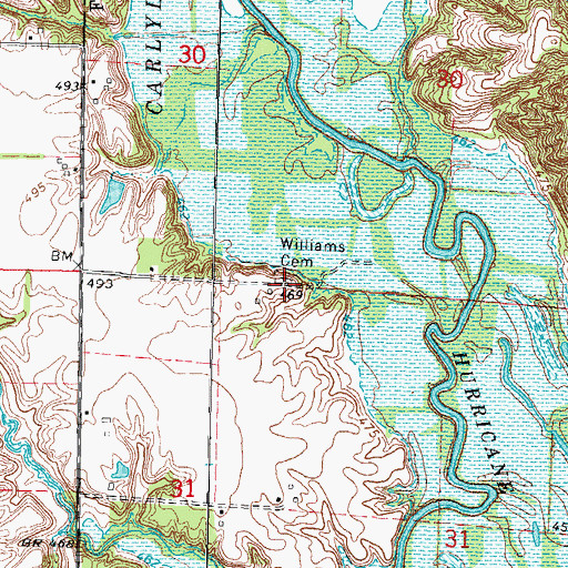Topographic Map of Williams Cemetery, IL