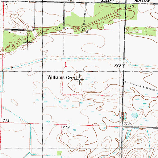 Topographic Map of Williams Cemetery, IL