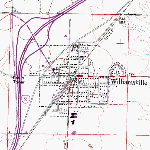 Topographic Map of Williamsville, IL