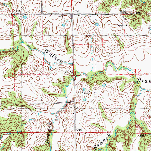Topographic Map of Willow Branch, IL