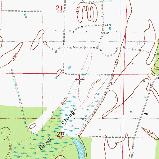 Topographic Map of Willow Pond Slough, IL