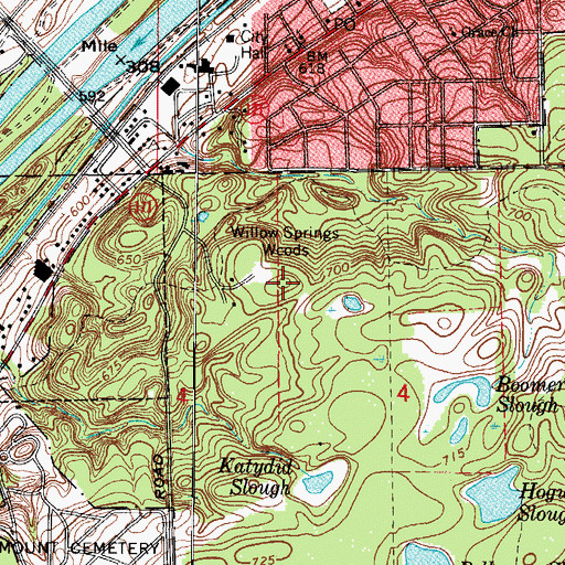 Topographic Map of Willow Springs Woods, IL